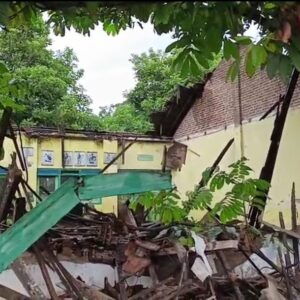 18d66ad0-d3c7-4374-9736-a5b495c66281