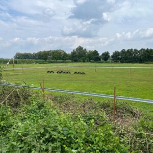 26463F08-31AF-420A-A82B-2B3564C60102