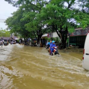 9dae0ad0-328d-48c7-b79a-c67bdd09934e