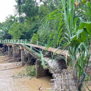 fecc0988-5be0-47cf-918b-67a269d1ef30