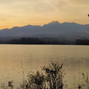 WhatsApp Image 2026-04-09 at 18.17.45